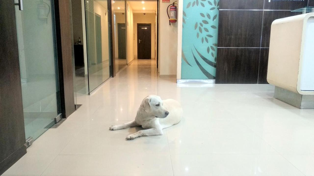 Sai Srushti By Neem Square Hotell Shirdi Exteriör bild